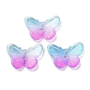Transparent Acrylic Pendants