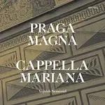 Duo Komáři – Song nic moc