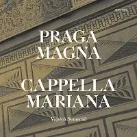 Duo Komáři – Song nic moc