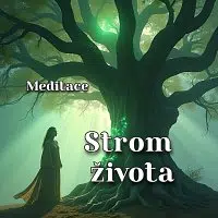Meditace Liliana – Meditace Strom života