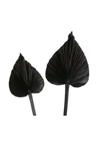 Dekorace Boltze Areca 2-pack