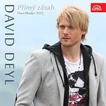 David Deyl – Přímý zásah (Final Master 2012) - Singl