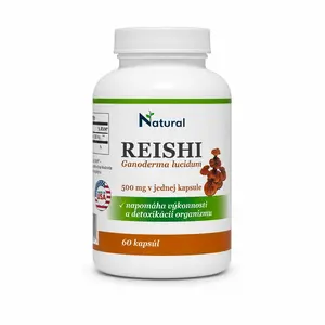Reishi - Ganoderma lucidum