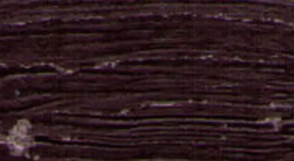 Restaurátorská barva Renesans 20ml – 24 Burnt umber
