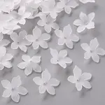 Frosted Acrylic Bead Caps