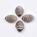 Resin Beads