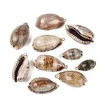 Electroplate Natural Shell Pendants