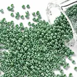 (Repacking Service Available) Glass Seed Beads