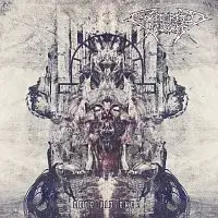Cutterred flesh – Code: Violence