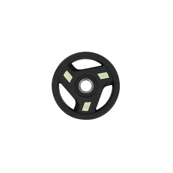 inSPORTline Pogumovaný kotouč Herk 2,5 kg 30 mm
