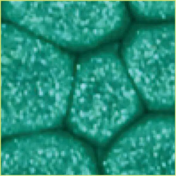 Barva Pébéo Fantasy Prisme 45ml – 18 Emerald