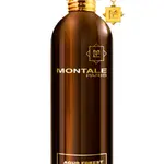 Montale Aoud Forest - EDP 100 ml