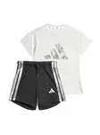 ADIDAS SPORTSWEAR Tréningový komplet 'Essentials'  sivá / svetlosivá / čierna / biela
