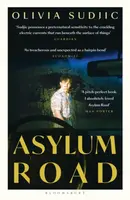 Asylum Road - Olivia Sudjic