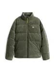 Tommy Jeans Zimná bunda 'VAIL'  jedľová