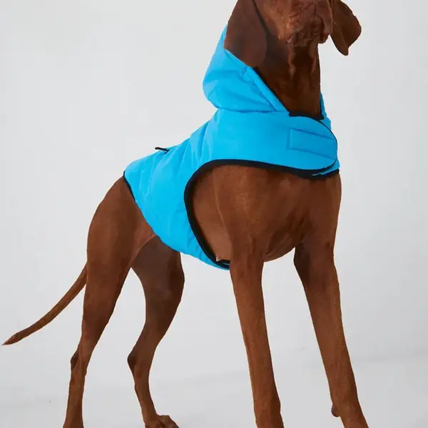 Bunda pre zvieratko Medicine