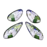 4Pcs Transparent Epoxy Resin Butterfly Wings Pendants