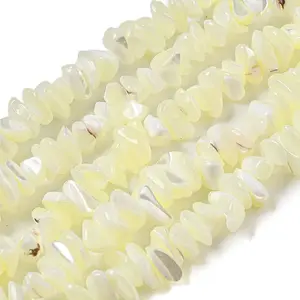 Natural Trochus Shell Beads Strands