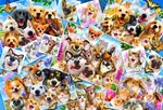 Selfie Pet Collage - puzzle z kategorie Umělecké