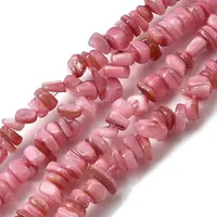 Natural Freshwater Shell Beads