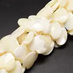 Natural Trochid Shell/Trochus Shell Beads Strands