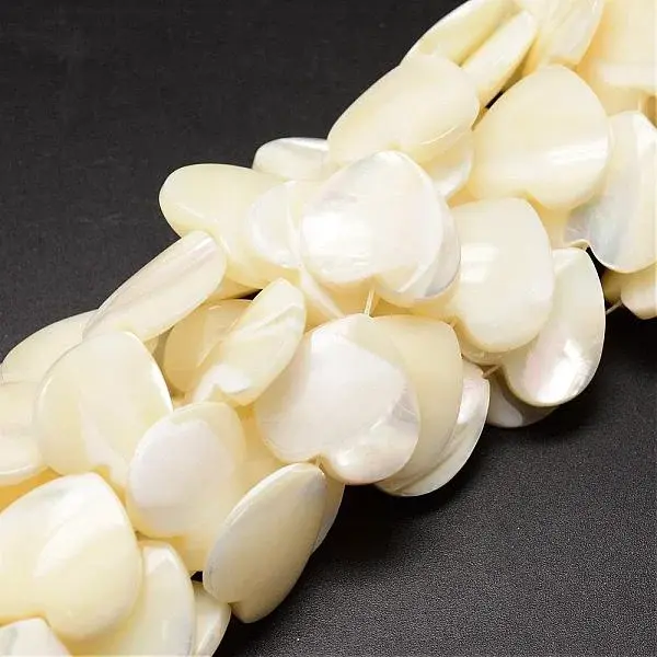 Natural Trochid Shell/Trochus Shell Beads Strands