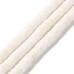 Natural Sea Shell Beads Strands