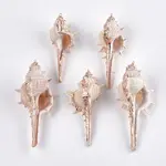 Electroplate Spiral Shell Big Pendants