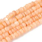 Natural Freshwater Shell Dyed Beads Strands