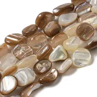 Natural Seashell Beads Strands