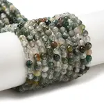 Natural Tree Agate Beads Strands