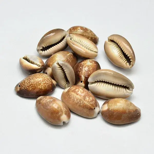 Natural Shell Oval Beads