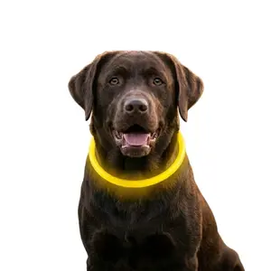 Reedog Full Light USB dobíjecí svítící obojek pro psy a kočky | P45813