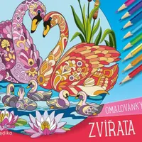 Zvířata – omalovánky - Andrea Brázdová