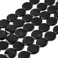 Natural Freshwater Shell Beads Strands