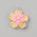 Transparent Resin Pendants