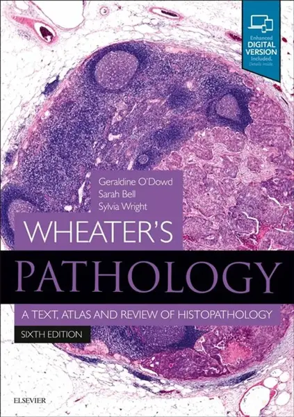 Wheater's Pathology: A Text, Atlas and Review of Histopathology - Sarah Zambello, Geraldine  O'Dowd, Sylvia  Wright