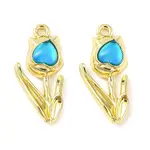 Rack Plating Alloy Pendants