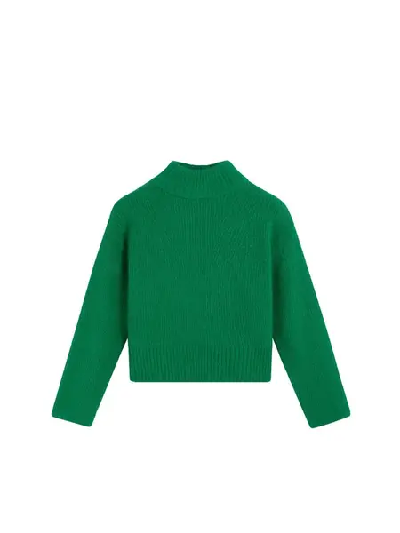 Scalpers Sveter 'Uor'  zelená