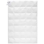 Sleeptex CELOROČNÍ PŘIKRÝVKA, 140/200 cm, peří, prachové peří