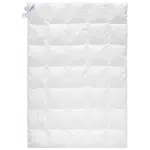 Sleeptex CELOROČNÍ PŘIKRÝVKA, 140/200 cm, prachové peří