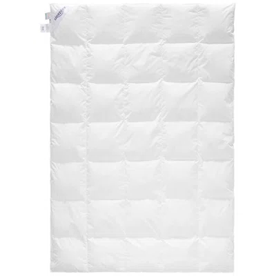 Sleeptex CELOROČNÍ PŘIKRÝVKA, 140/200 cm, prachové peří