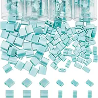 452Pcs 2 Style 2-Hole Glass Seed Beads