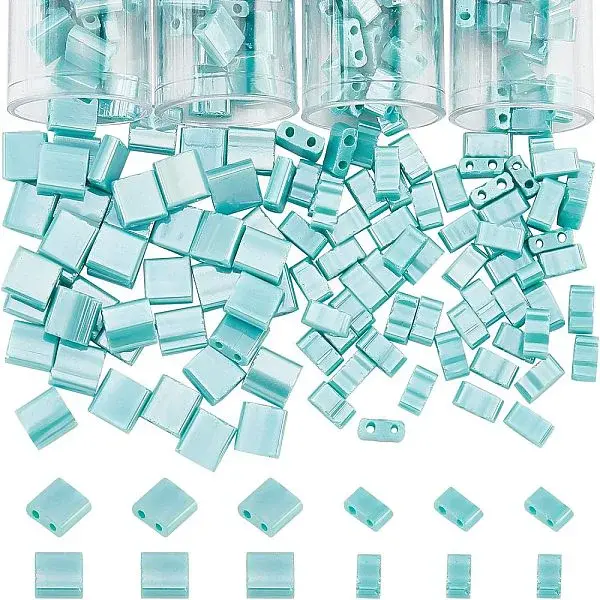 452Pcs 2 Style 2-Hole Glass Seed Beads