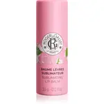 Roger & Gallet Rose Sublimating Lip Balm balzám na rty 3.5 g