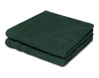 Ručník pro hosty Miami 30x50 cm, zelený