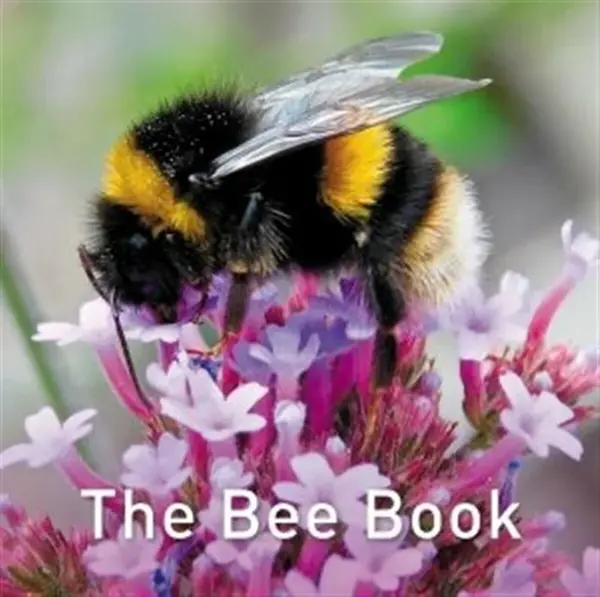Nature Book Series: The Bee Book - Jo Byrne