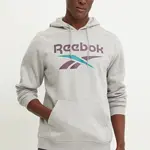 Mikina Reebok pánská, šedá barva, s kapucí, s potiskem, 100206026