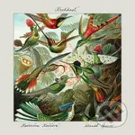 Katarína Koščová, Daniel Špiner: Krehkosť - Daniel Špiner, Katarína Koščová