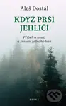 Když prší jehličí - Aleš Dostál - kniha z kategorie Společenská beletrie